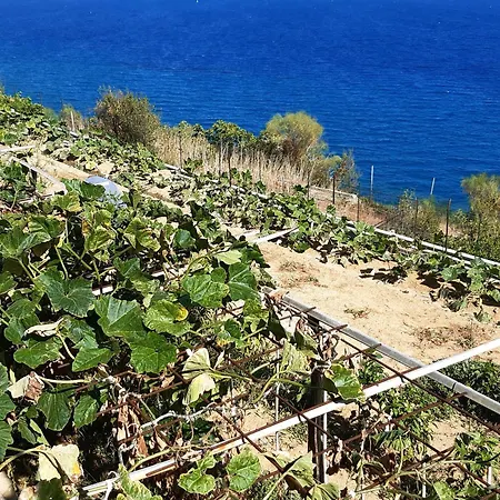 Gli Orti Sul Mare 2 Vista Mare Appartement Bordighera